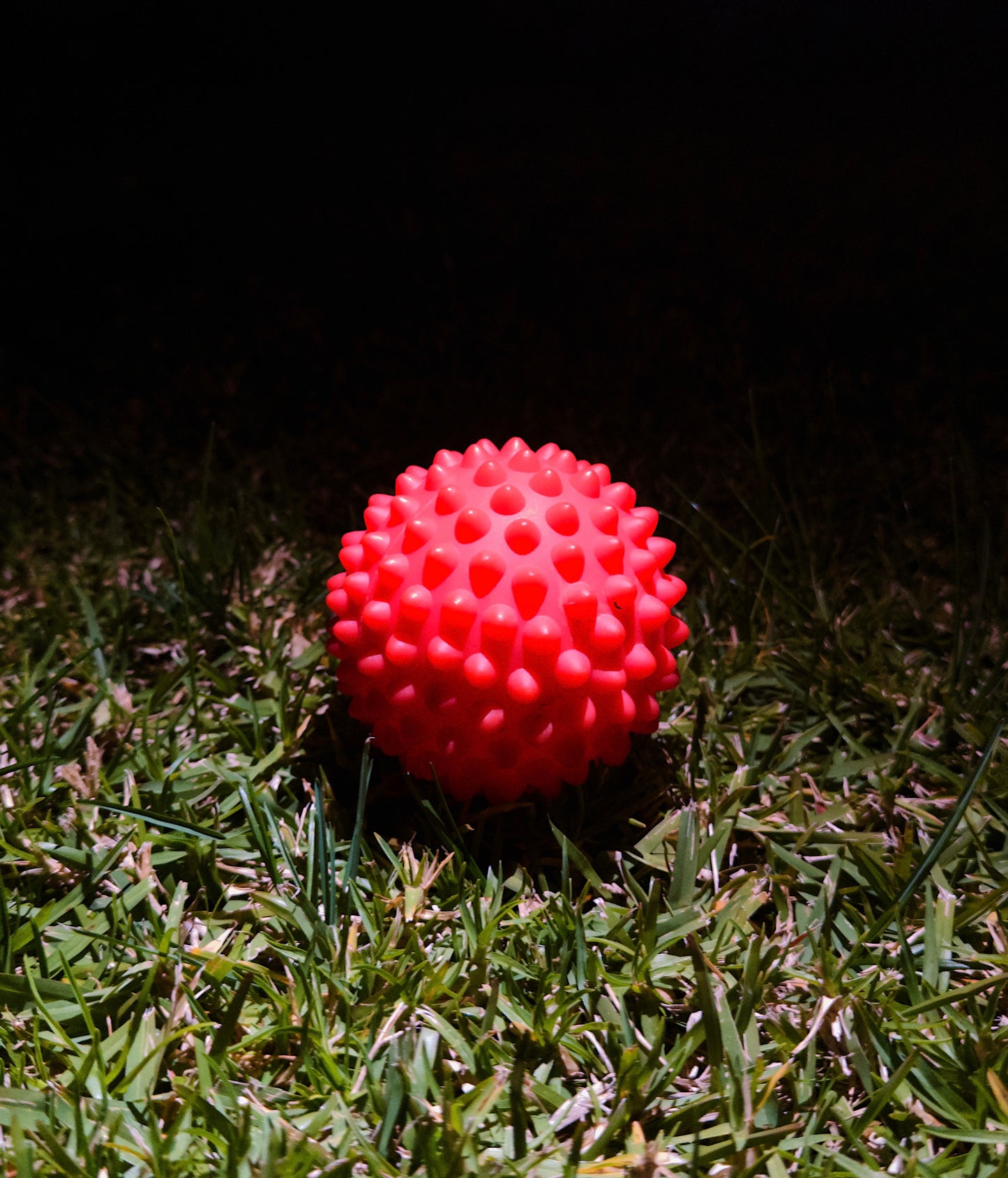 Spiky Massage Ball
