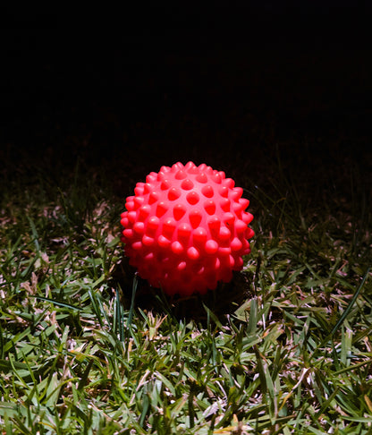 Spiky Massage Ball