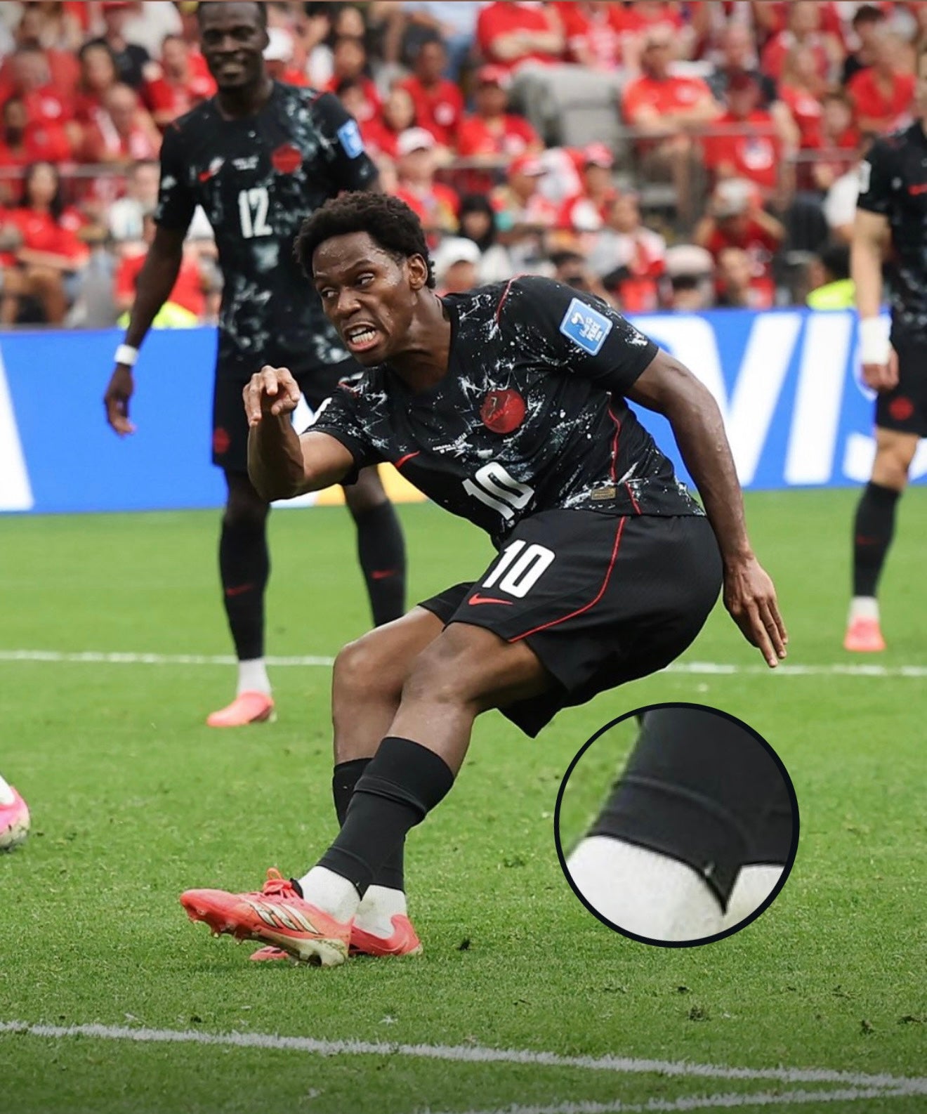 Prédécoupes noires 